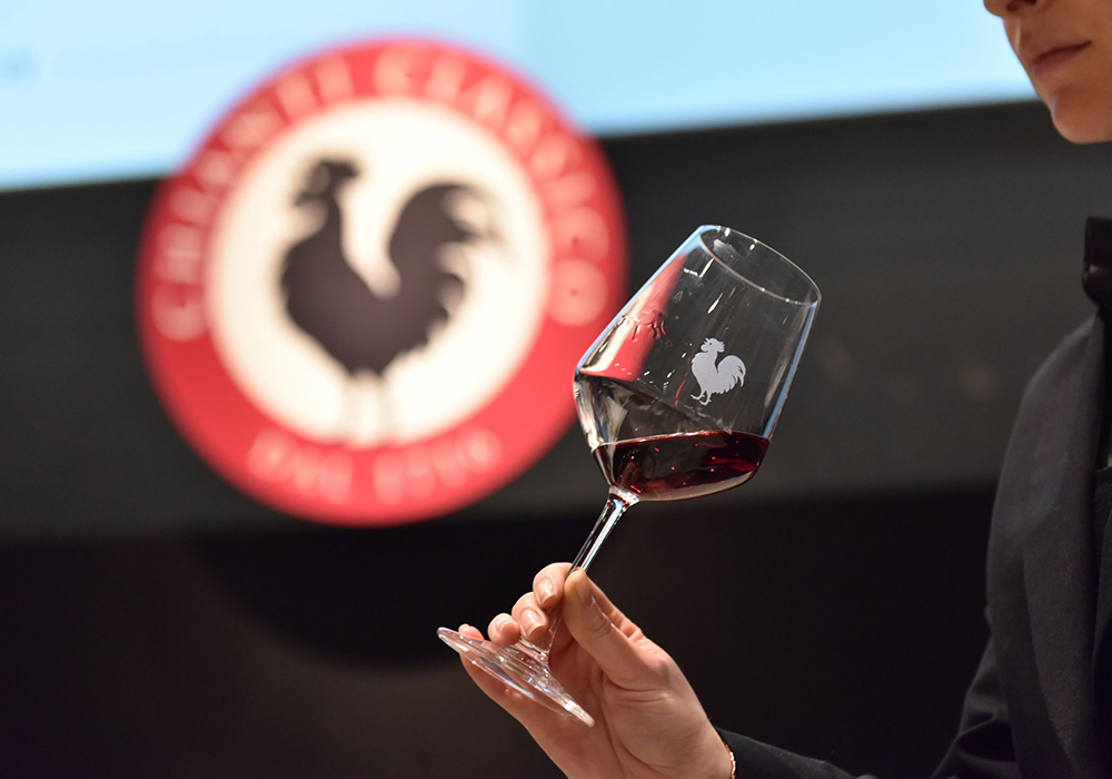 Chianti wine tasting experience in Tuscany
