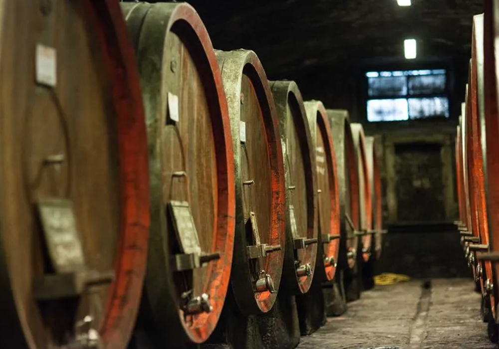 Horseback riding tour with wine tasting in the countryside near Florence